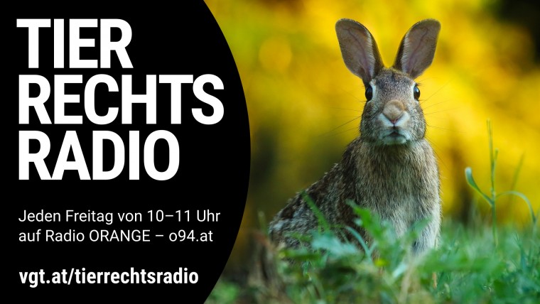 Bild zu dieser Radiosendung