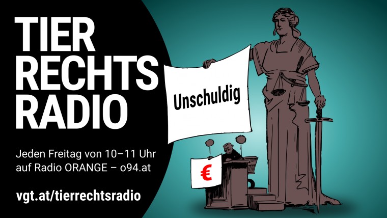 Bild zu dieser Radiosendung