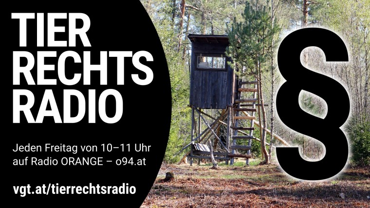 Bild zu dieser Radiosendung