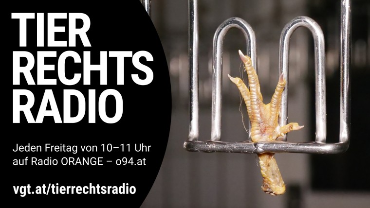 Bild zu dieser Radiosendung