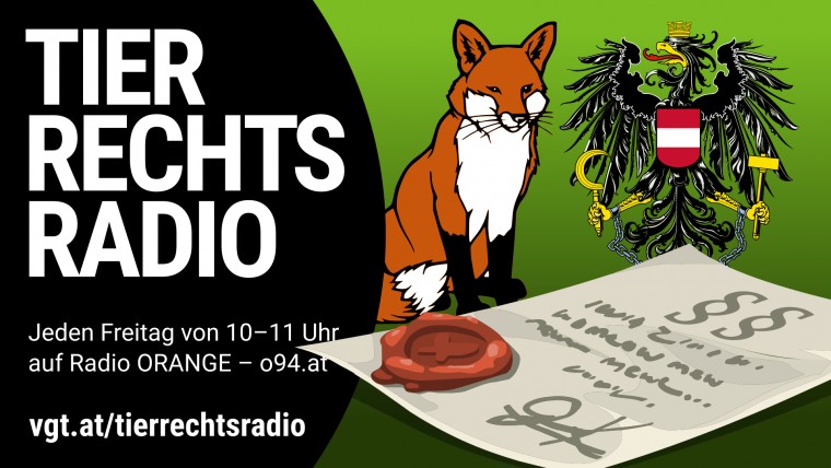 Bild zu dieser Radiosendung