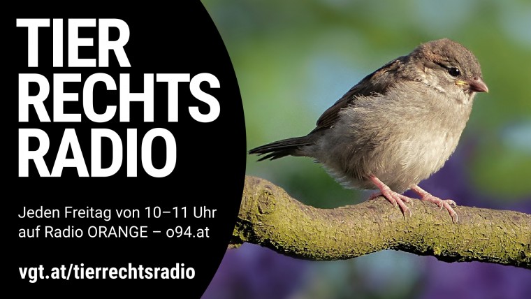 Bild zu dieser Radiosendung