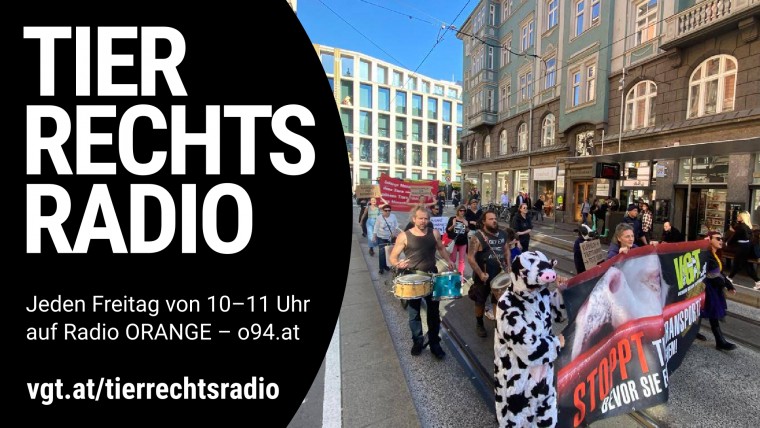 Bild zu dieser Radiosendung