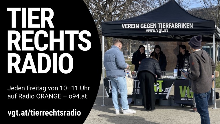 Bild zu dieser Radiosendung