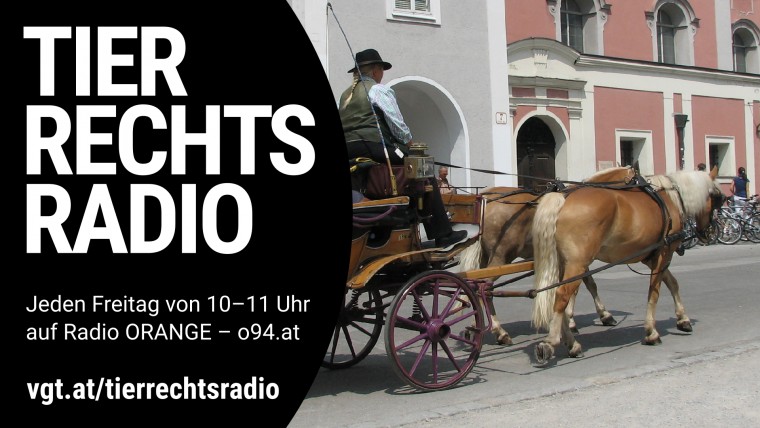 Bild zu dieser Radiosendung