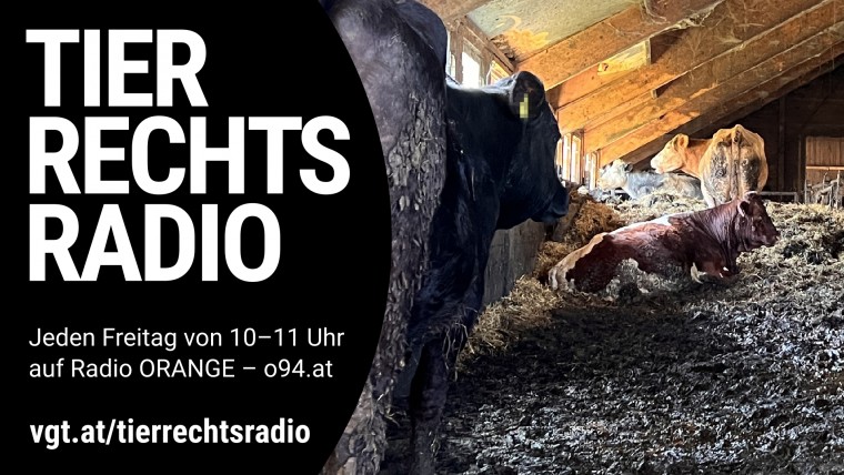 Bild zu dieser Radiosendung
