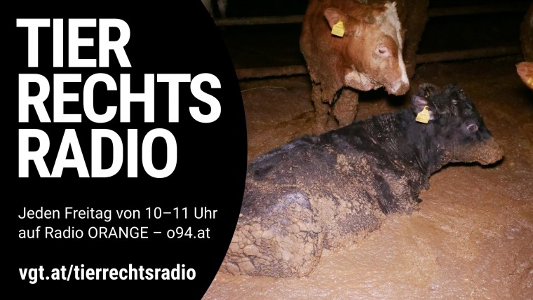 Bild zu dieser Radiosendung