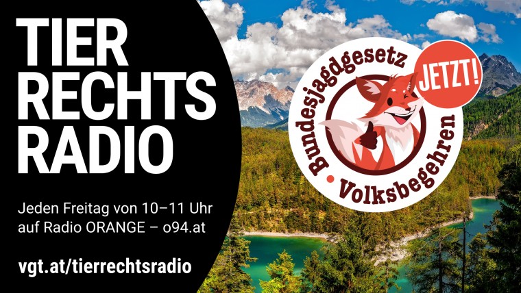 Bild zu dieser Radiosendung