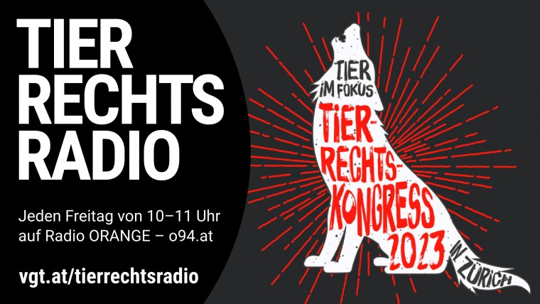 Bild zu dieser Radiosendung