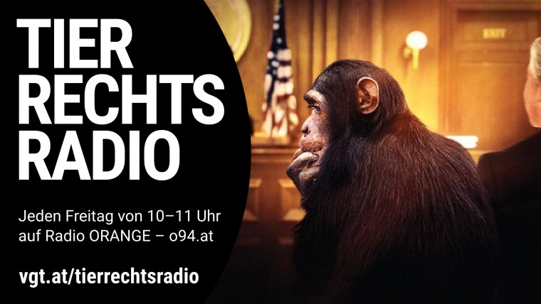Bild zu dieser Radiosendung