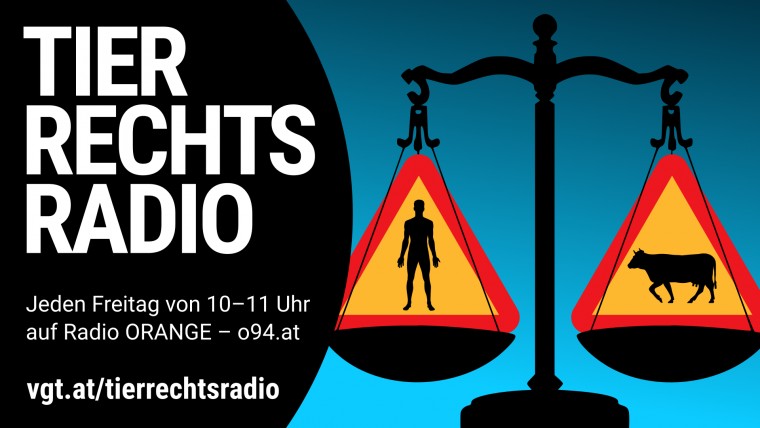 Bild zu dieser Radiosendung