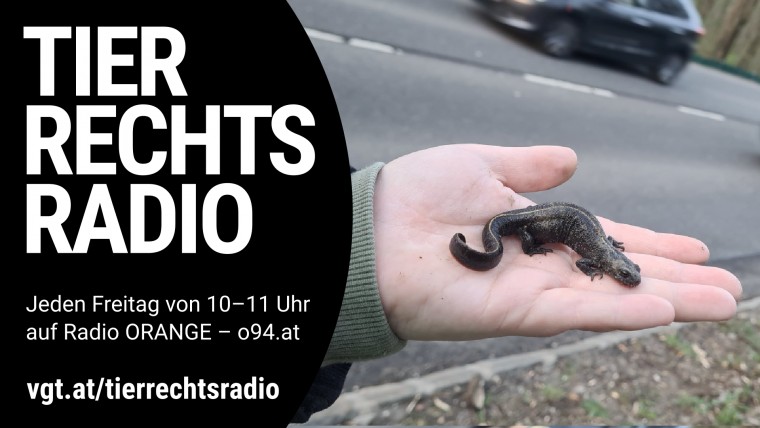 Bild zu dieser Radiosendung