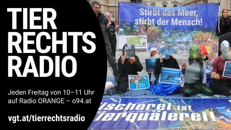 Bild zu dieser Radiosendung