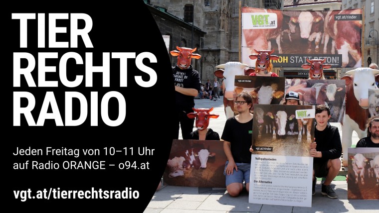 Bild zu dieser Radiosendung