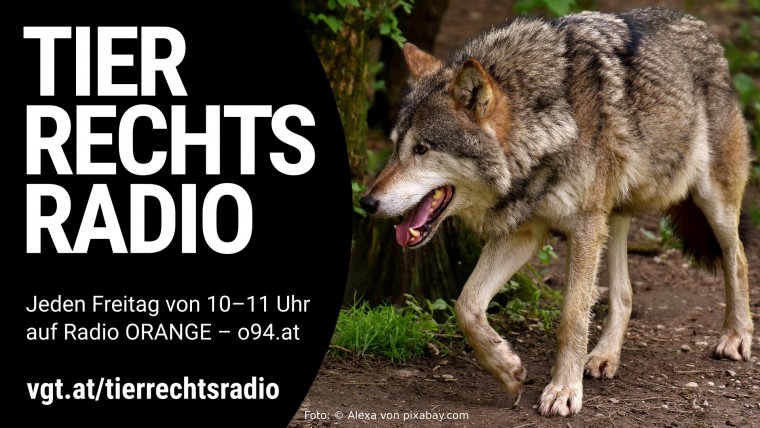 Bild zu dieser Radiosendung
