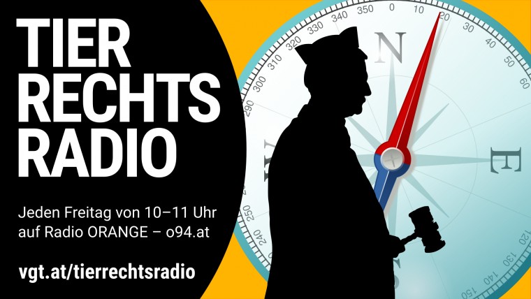 Bild zu dieser Radiosendung