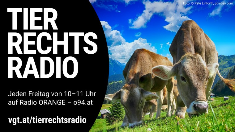 Bild zu dieser Radiosendung