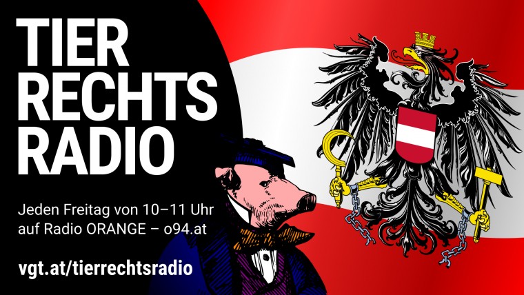 Bild zu dieser Radiosendung