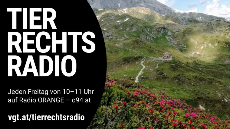 Bild zu dieser Radiosendung
