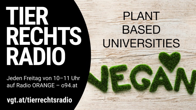 Bild zu dieser Radiosendung