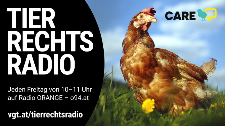 Bild zu dieser Radiosendung