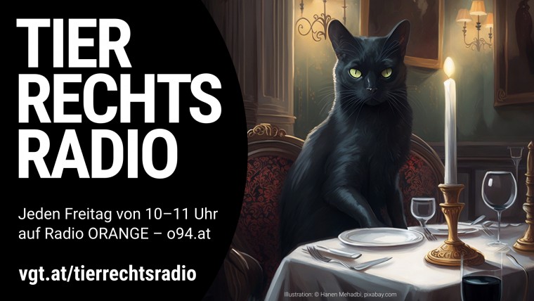 Bild zu dieser Radiosendung