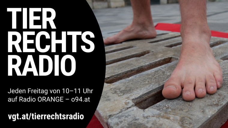 Bild zu dieser Radiosendung