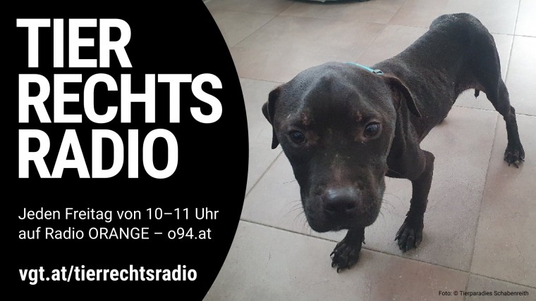 Bild zu dieser Radiosendung