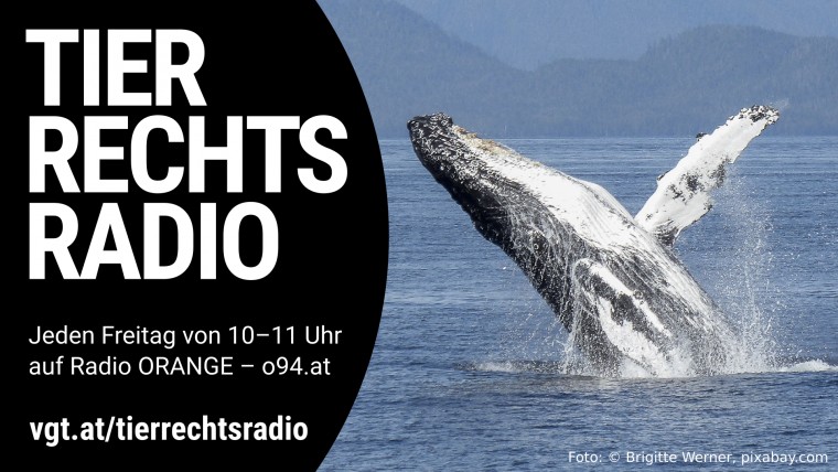 Bild zu dieser Radiosendung