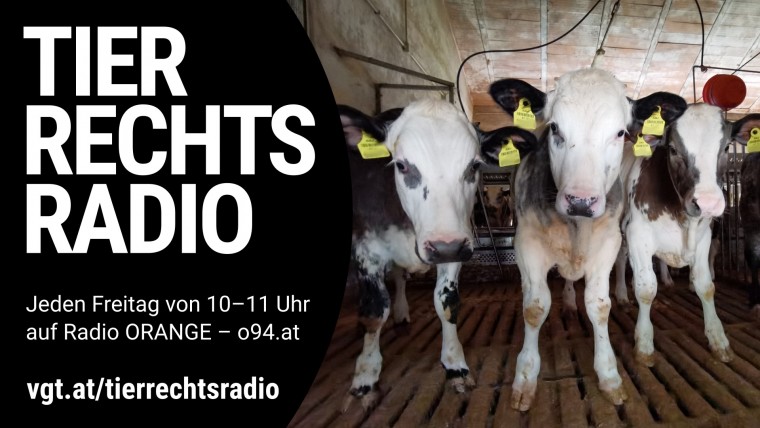 Bild zu dieser Radiosendung
