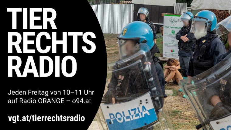 Bild zu dieser Radiosendung