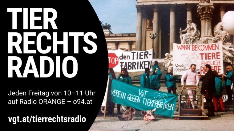 Bild zu dieser Radiosendung
