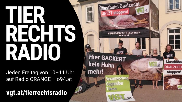 Bild zu dieser Radiosendung