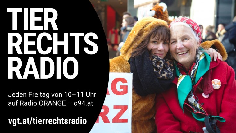 Bild zu dieser Radiosendung