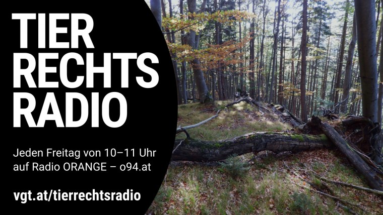 Bild zu dieser Radiosendung