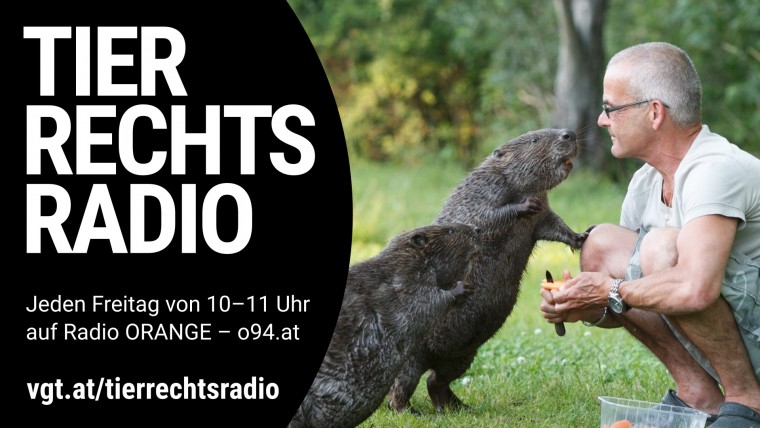 Bild zu dieser Radiosendung