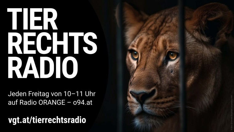 Bild zu dieser Radiosendung