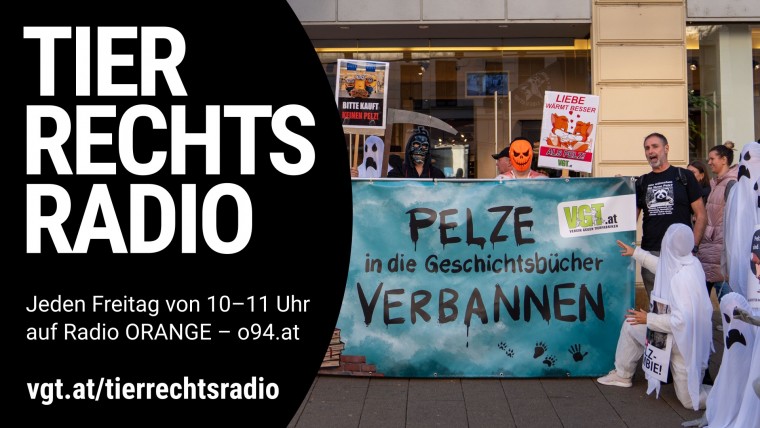 Bild zu dieser Radiosendung