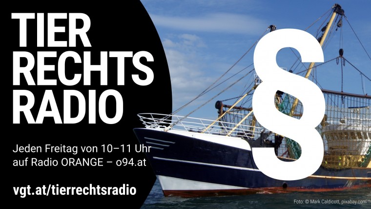 Bild zu dieser Radiosendung