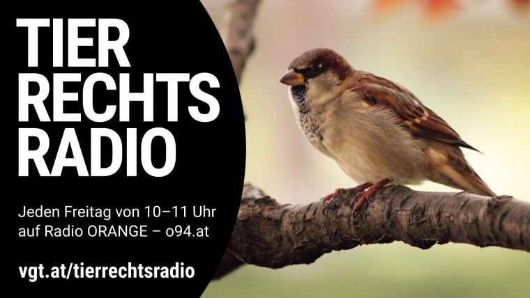 Bild zu dieser Radiosendung