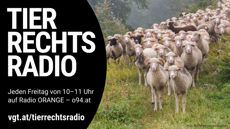 Bild zu dieser Radiosendung