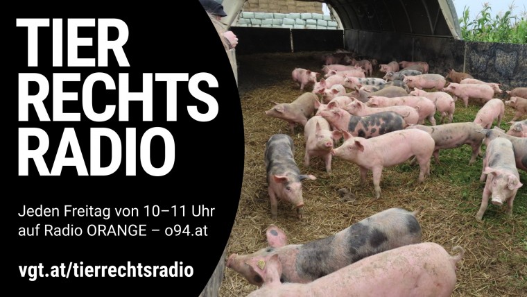 Bild zu dieser Radiosendung