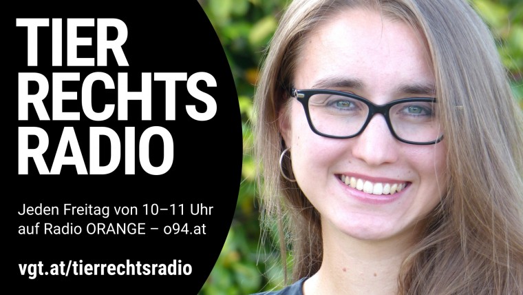 Bild zu dieser Radiosendung