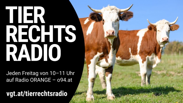 Bild zu dieser Radiosendung