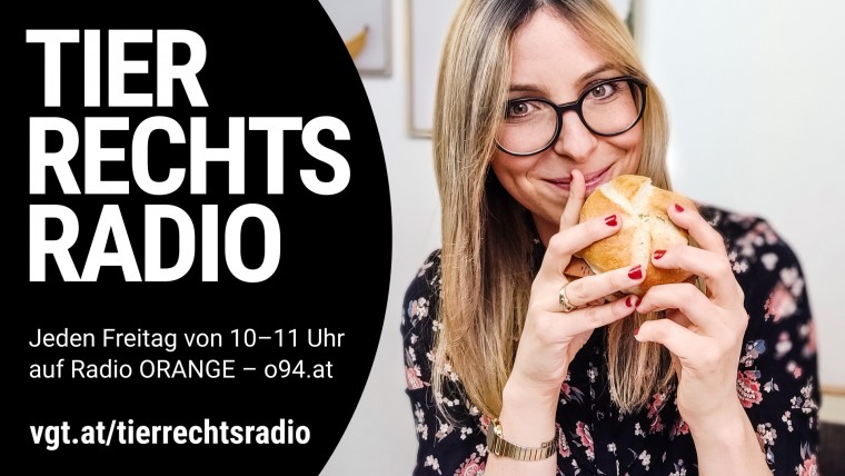 Bild zu dieser Radiosendung