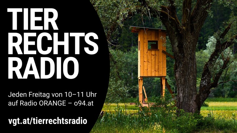 Bild zu dieser Radiosendung