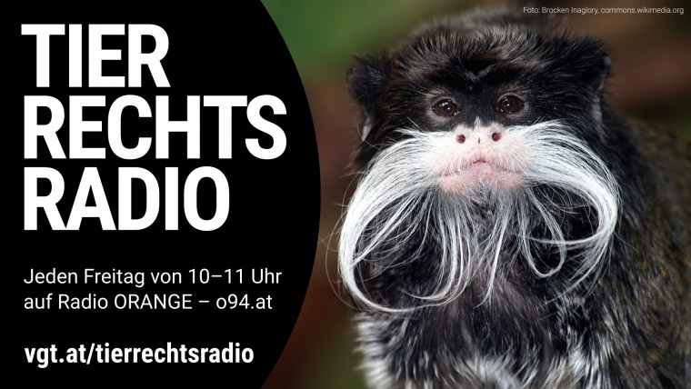 Bild zu dieser Radiosendung