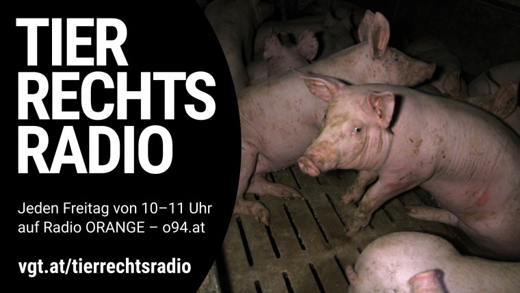 Bild zu dieser Radiosendung