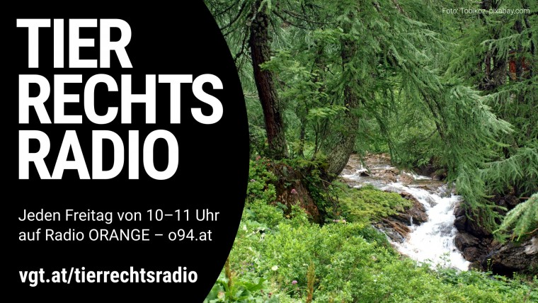 Bild zu dieser Radiosendung