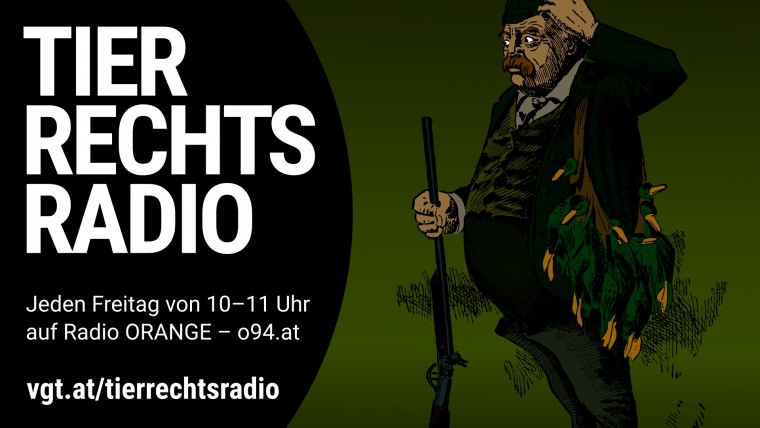 Bild zu dieser Radiosendung